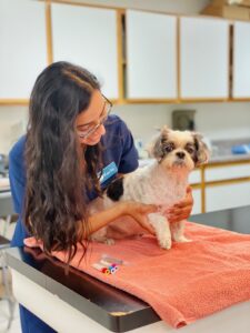 vet tech with dog